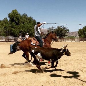 Meet your Posher, Jonny